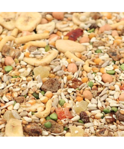 Tidymix Parrot Diet - High Quality Seed Blend - 12.5kg